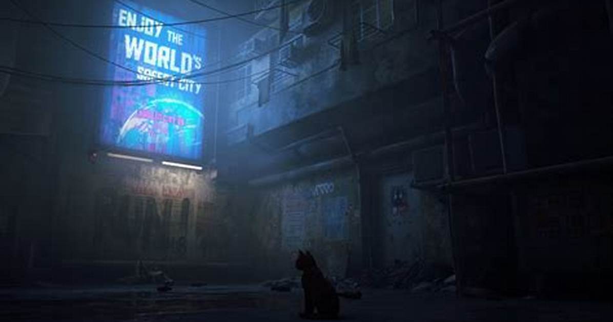 Stray