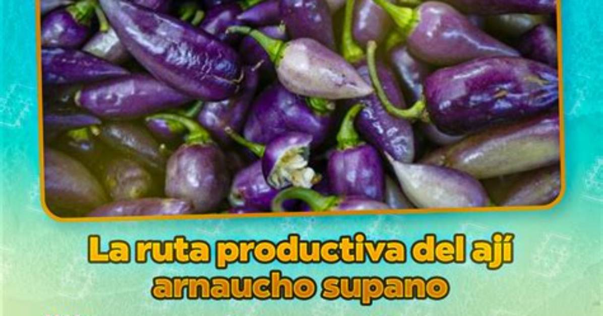 Supano Manha