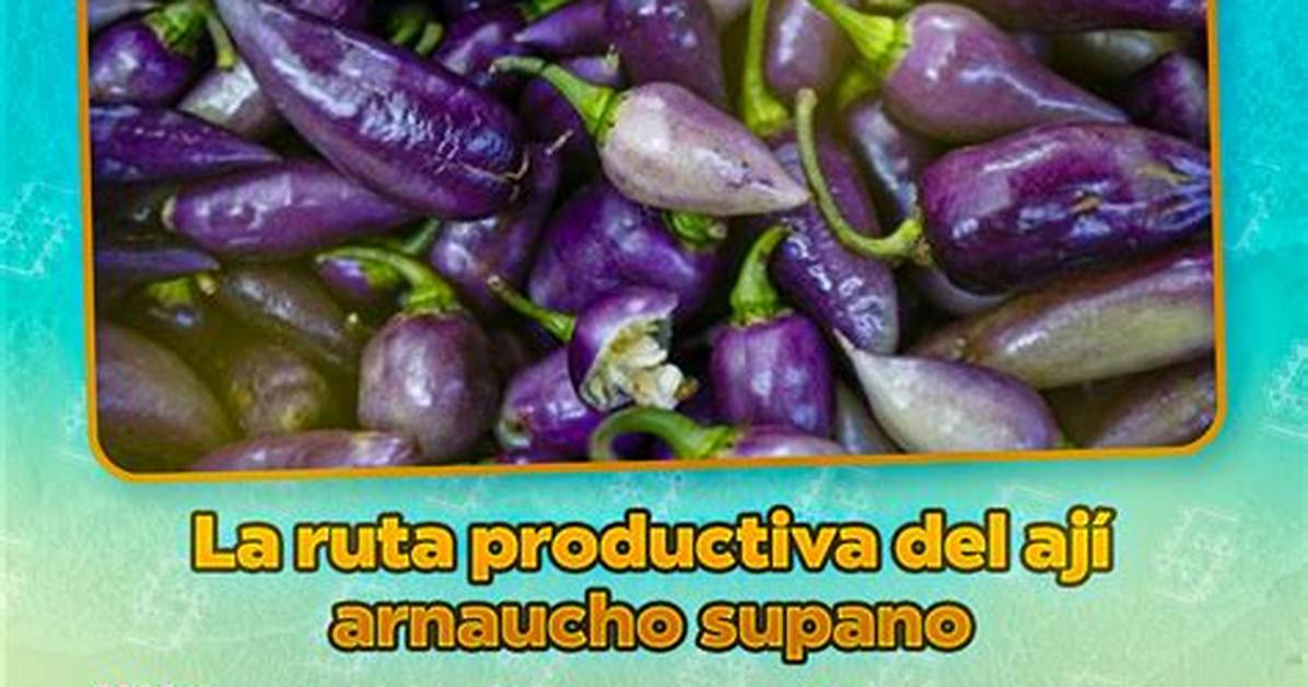 Supano