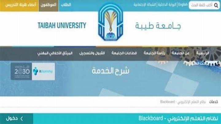 جامعة طيبة البلاك بورد: دليل دخول المنصة وحل أبرز المشاكل