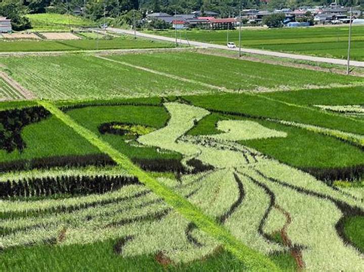 玉川徹の実家はどこ？宮城県角田市説・家族構成・父親の職業まで徹底解説