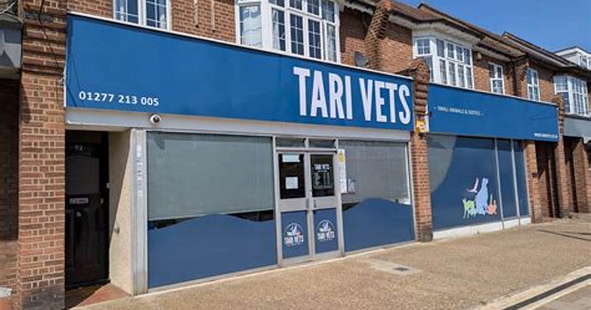 Tari Vets