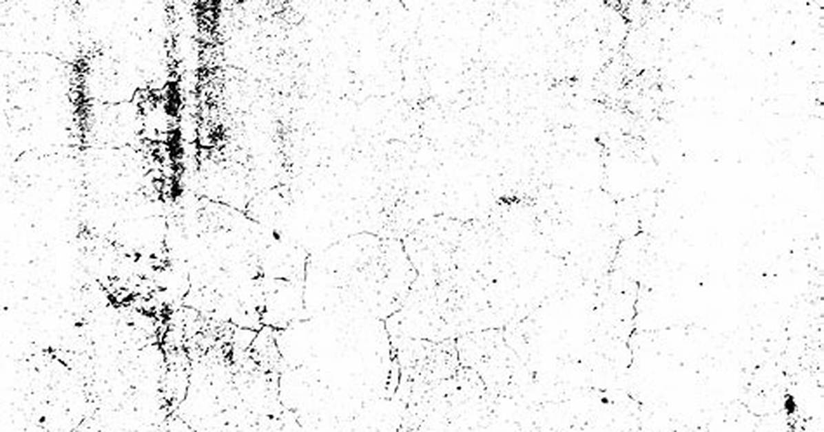 Texture Of