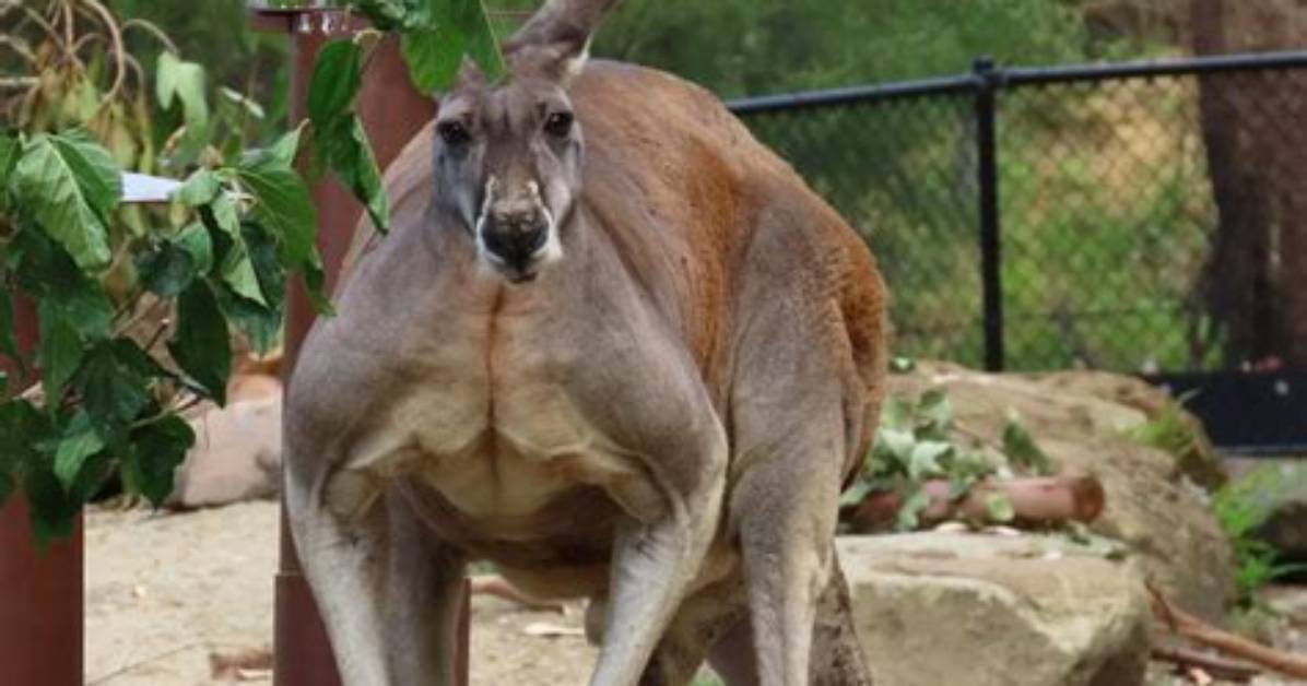 The Biggest