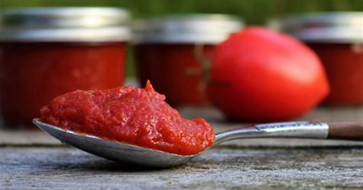 Tomato Fou400G