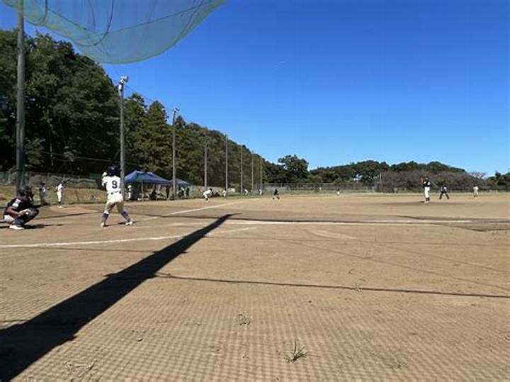 つくば秀英野球部の掲示板・最新情報を徹底解説