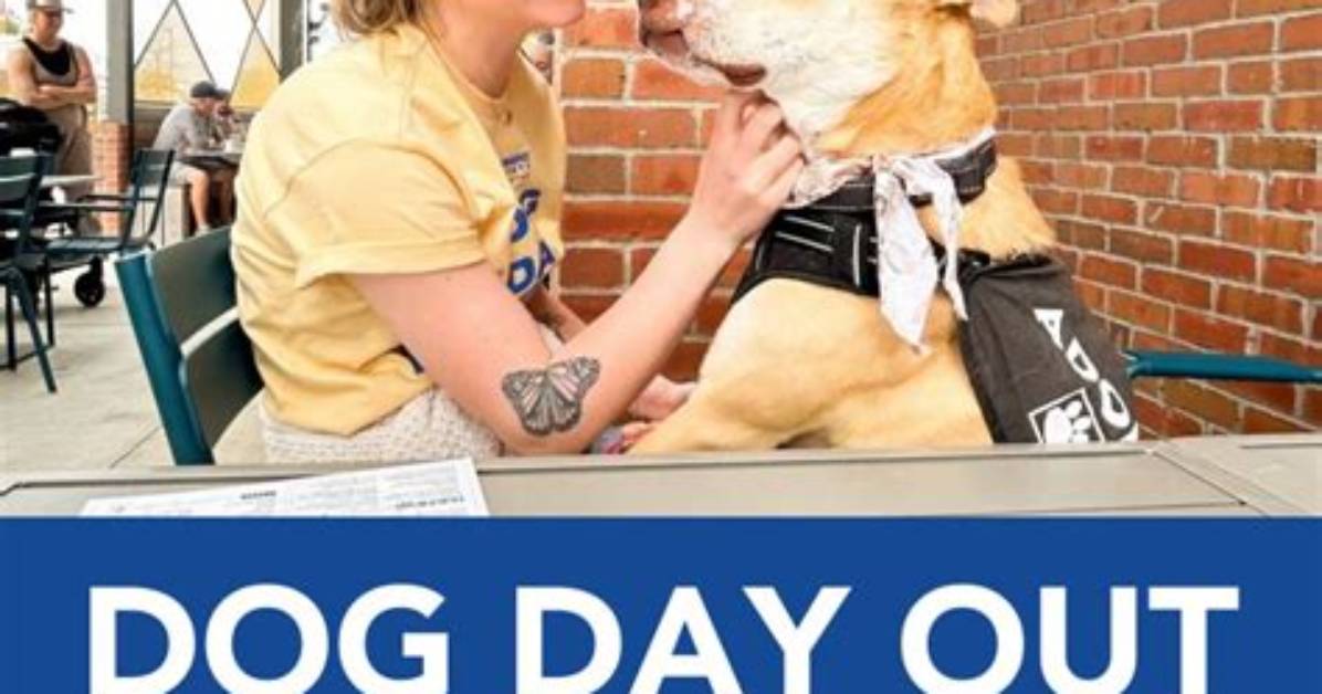 Veterinary Charity