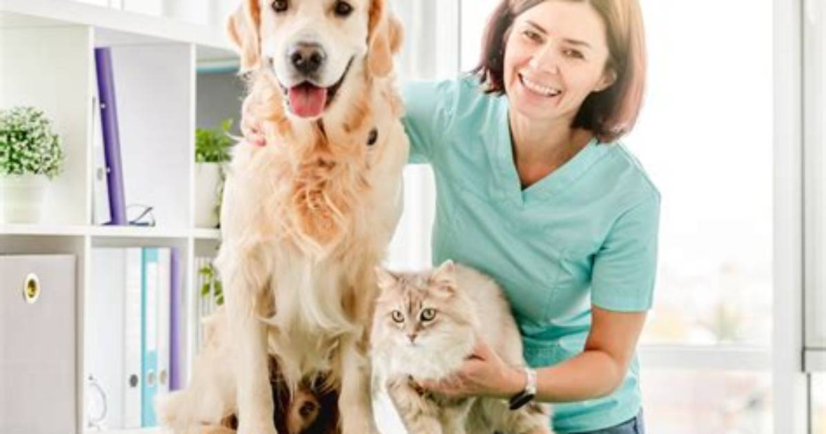 Veterinary