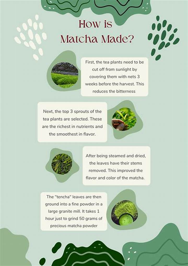 What Is Matcha Made of? Ingredients, Origins, and What’s in Your Cup