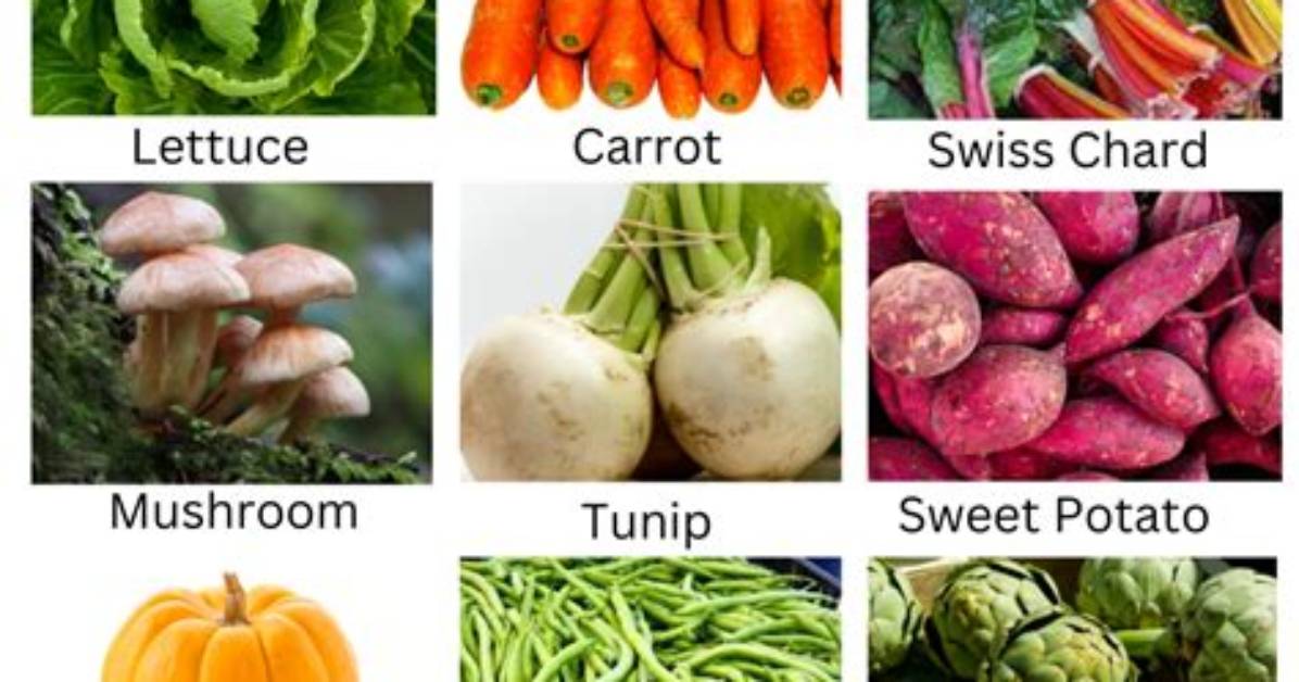 What Veg Has