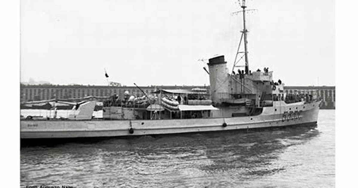 Xi Daino Ge