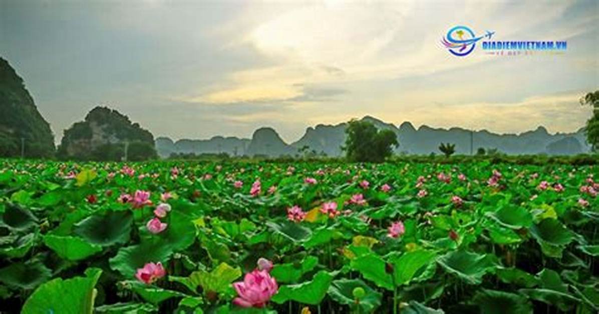 Yuantere Dong Sen