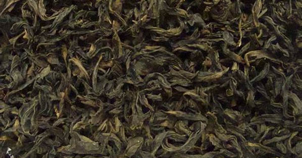 Zhan Mei Zhe