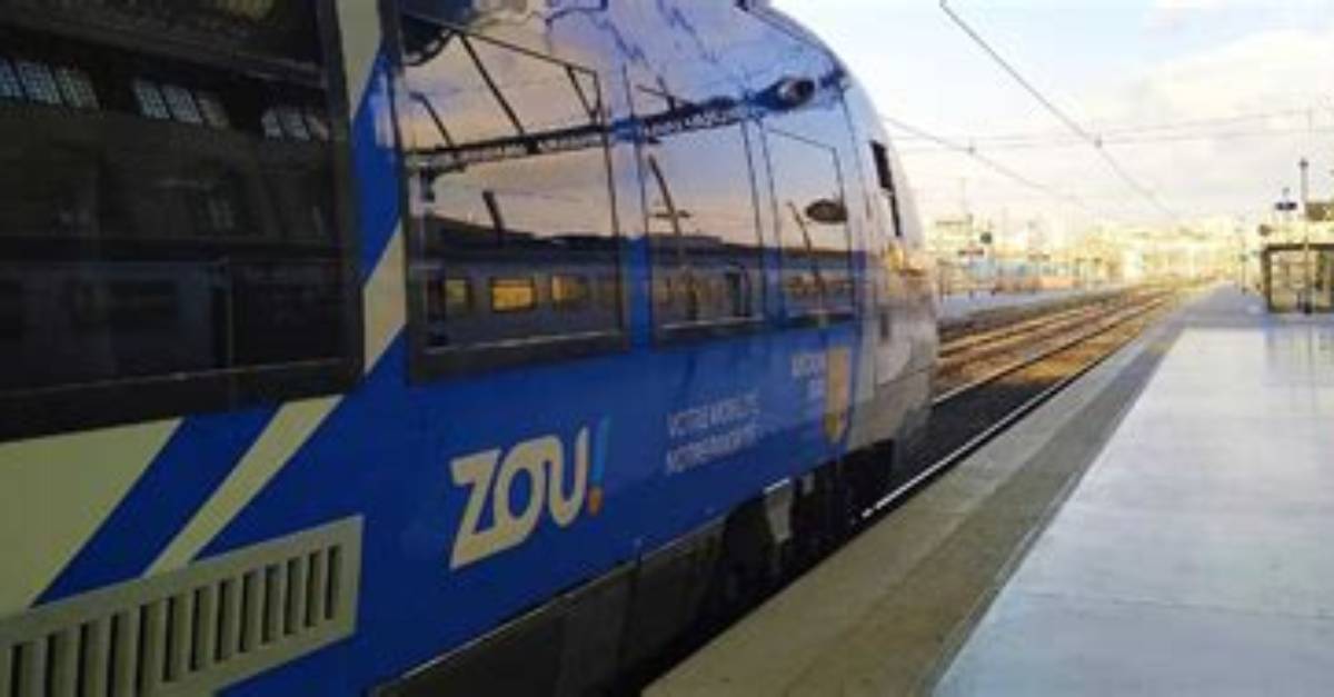 Zou